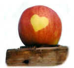 Herzapfel.jpg (14667 Byte)
