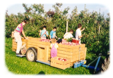 obsternte wagen.jpg (40575 Byte)